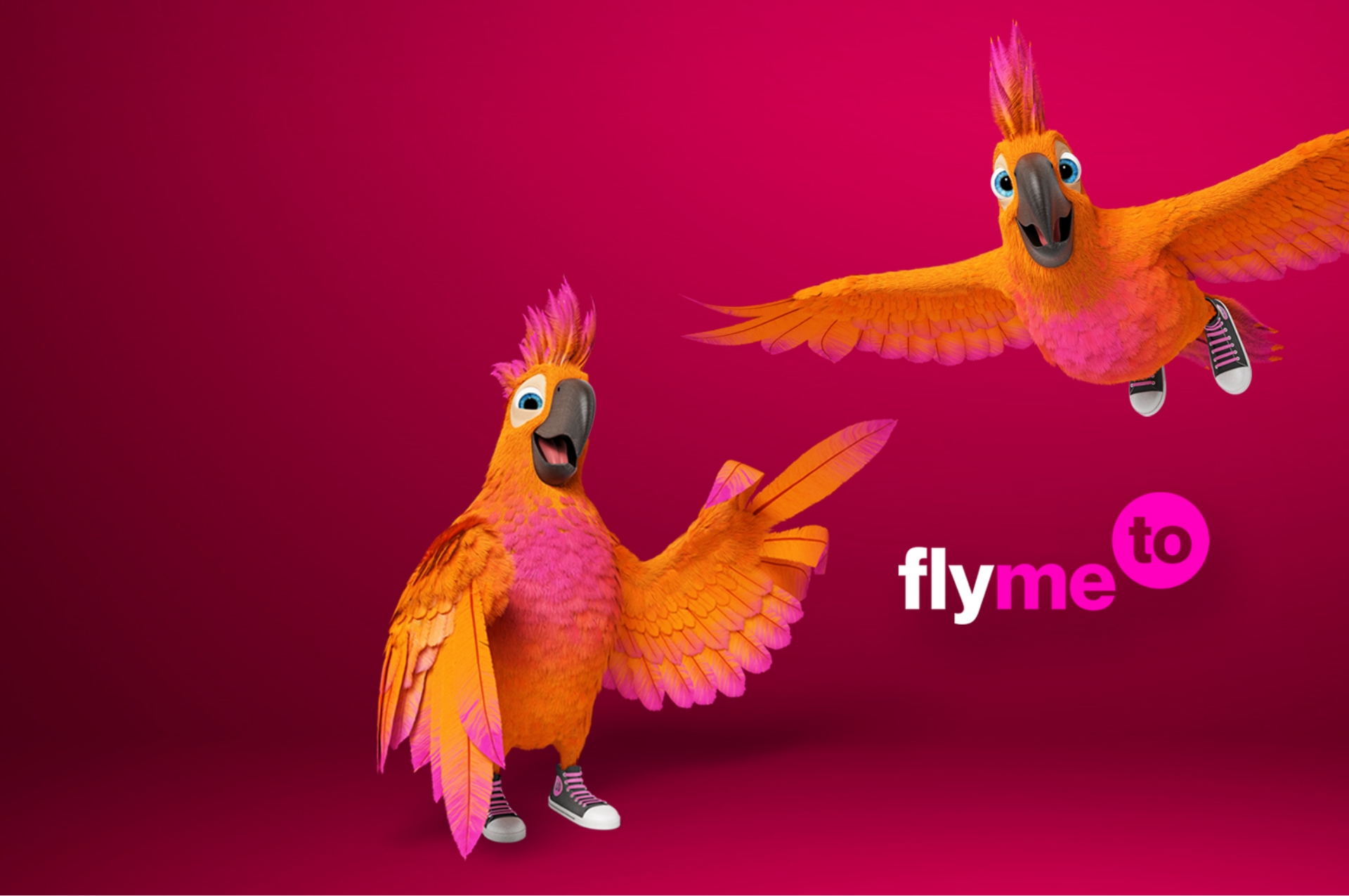 Flymeto - Kompletní vizuální identita včetně názvu společnosti a webového rozhraní